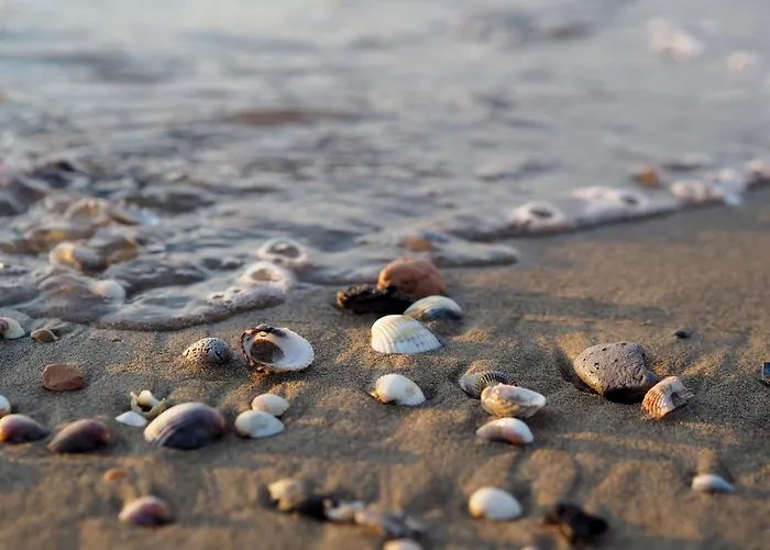 Chic Retreat For Your Holidays In